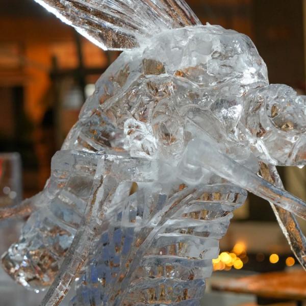 Dsc05131 1200x900