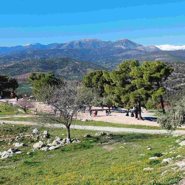 Atene2025 17