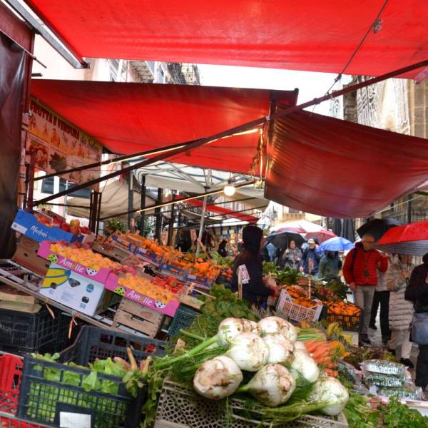 Palermo 8